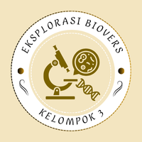 bioexplorer3